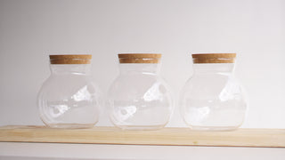 Set of 3 Globe Glass Jars - Tea Coffee Sugar Jars