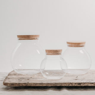 Globe Glass Jar with Cork Lid and Wooden Scoop