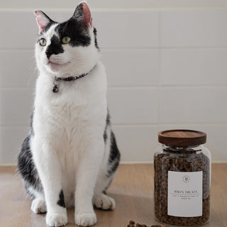 Glass Pet Food Container - So At Nature