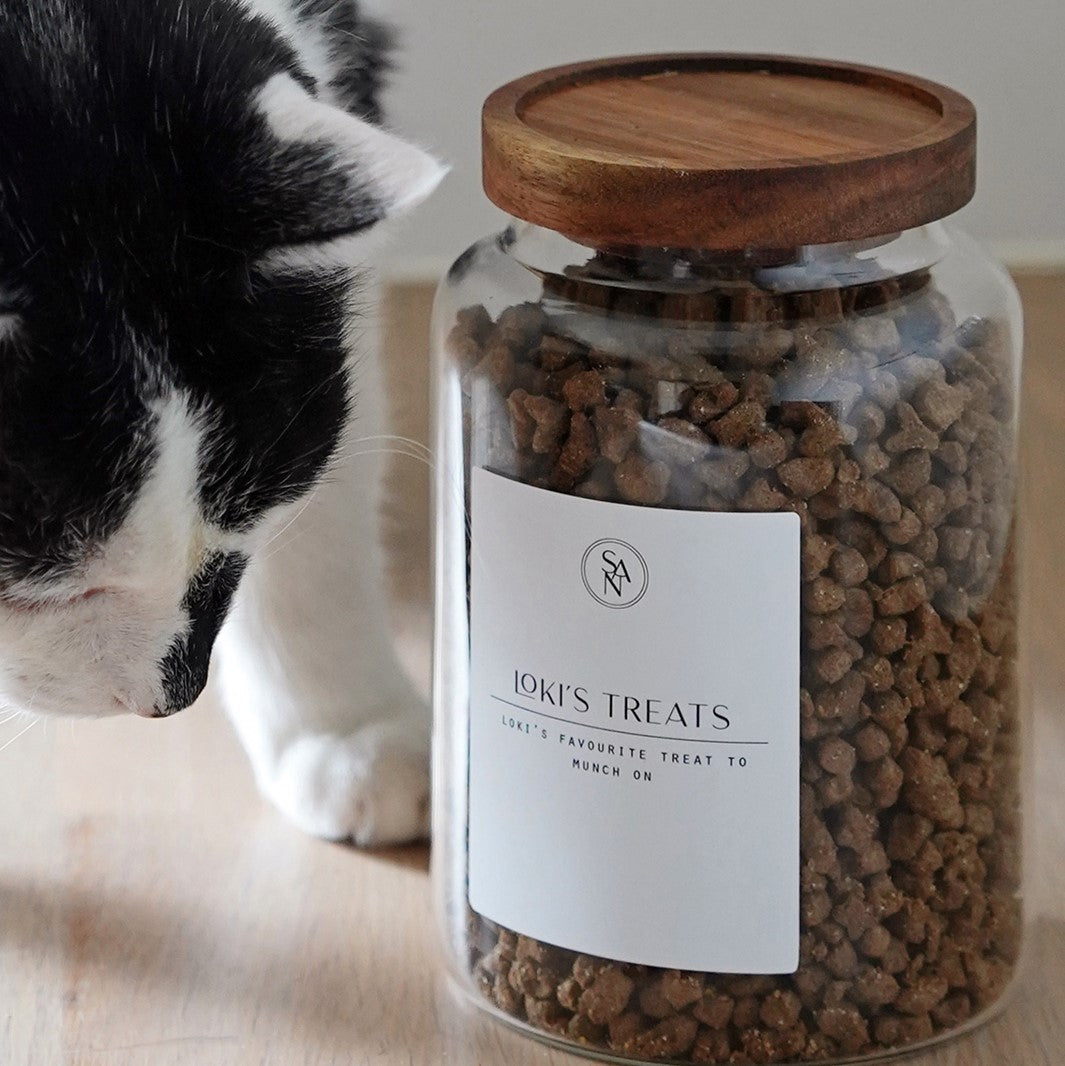 Glass dog food container hotsell